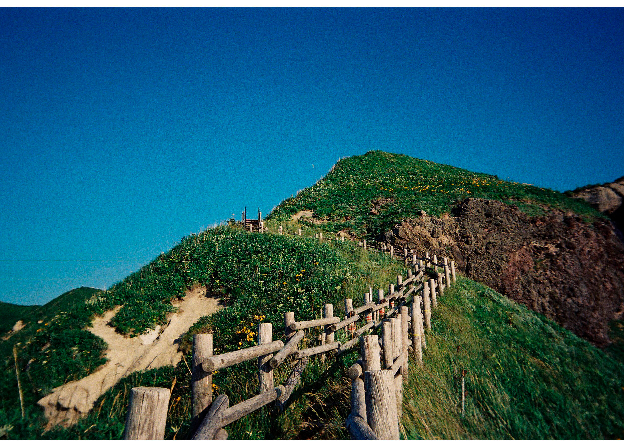 Фотоаппарат пленочный Kodak EC35 Film Camera Lavender